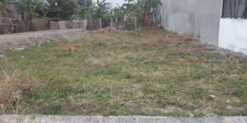 Cần bán gấp đất thổ cư 100m2 ở đường số 17, Hiệp Bình Chánh, Thủ Đức chính chủ