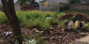 BÁN LÔ ĐẤT ĐƯỜNG NGÔ CHÍ QUỐC P.BÌNH CHIỀU DT 55M2 GIÁ CHƯA ĐẾN 2,3TY/NEN SHR