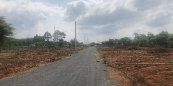 Bán đất sổ đỏ, MT đường Hắc Dịch - Tóc Tiên, thị xã Phú Mỹ, giá tốt đầu tư