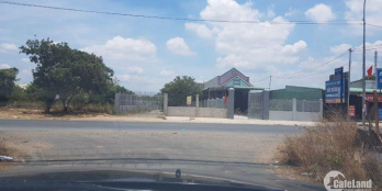 Bán đất siêu đẹp, rẻ bèo Phú Mỹ Tóc Tiên BRVT 573 m2 chỉ từ 2.1 triệu/m2  chính chủ 0901 777 595