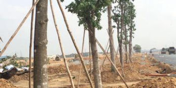 Khu dân cư Nam Tân Uyên, phường Khánh Bình, giá tốt cho anh chị đầu tư, chỉ từ 14,2 triệu/m2