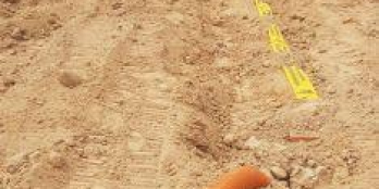 Đất Nền Bình Dương Giá Rẻ Mọi Người Ơi! Đầu Tư Ngay Nào!