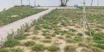 Bán đất nền bình dương, vị trí vàng