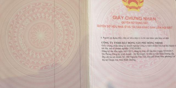 Chỉ cần 650 triệu sở hữu ngay lô đất MT 12m, Ngay chợ Phú Phong, F Bình Chiểu Thuận An Bình Dương.