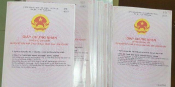 Đất Thuận An ngay trung tâm, giá rẻ bất ngờ