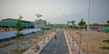 Cần ra đi vài lô đất nền đẹp MTĐ, SHR, thổ cư 100%