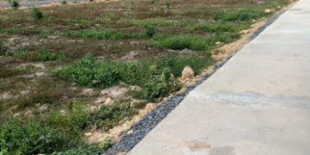 Bán đất nên khu công nghiệp