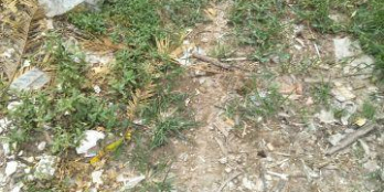 Chính chủ bán 35m2 đất phường minh khai, bắc từ liêm