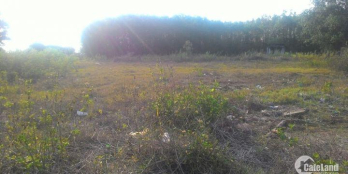 [CƠN SỐT ĐẠI HẠ GIÁ]Đất Vàng HỒ TRÀM VILLAS chỉ còn 2,8 tr/m2.