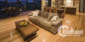 Siêu phẩm nhà phố Vinh Phúc 30m2 4 tầng giá chỉ 3.7 tỷ