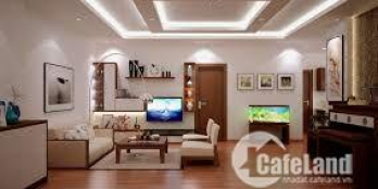 Bán nhà Ba Đình - PL Biệt thự Liễu Giai 36.6 tỷ, 215m2, oto vào