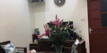 Bán Nhà đường Bưởi, Lạc Long Quân, 40m2 x 5 tầng, ngõ xe ba gác, giá 3.8 tỷ.