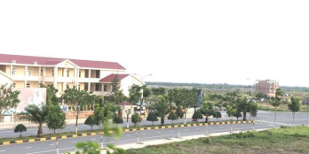 Bán gấp đất nền sổ đỏ KĐT Long Hưng giá cực tốt để lướt