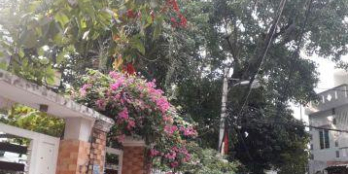 Nhà phố thương mại sở hữu nhanh duy nhất chỉ còn 1 căn giá cực đầu tư