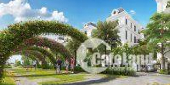 Tôi cần bán gấp chung cư Discovery Complex DT 155m2, căn góc 3PN, 2WC, giá 37,5 triệu/m2