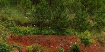 Cần bán gấp nhà tại KQH Ngô Quyền, Phường 6, TP. Đà Lạt. Giá 6 tỷ.