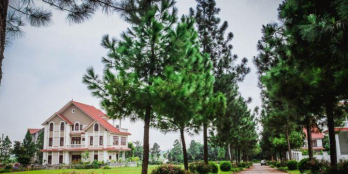 Biệt thự The Phoenix Garden- Đan Phượng chỉ 17,8 triệu/m2.