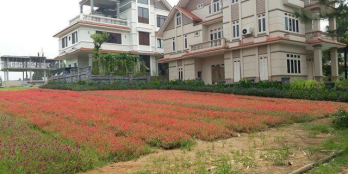 Bán biệt thự 200m2 khu đô thị sinh thái cao cấp thị trấn Phùng - Liên hệ ngay 0962374177