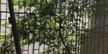 Nhà đẹp 58m2, 3 tầng Tôn Thất Tùng, Chùa Bộc, Đống Đa gần đại học Y cần bán gấp, chỉ 3,2 tỷ