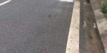 Bán đất khu 31ha, TRÂU QUỲ,  GIA LÂM,  HÀ NỘI. Diện tích 236m2, mặt tiền 12m . Giá 42tr-m2. LH 0969943993