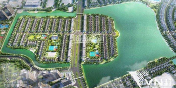 VINHOM OCEAN PARK BÁN CĂN DL VÀ SL ĐẢO NGỌC TRAI VÀ HẢI ÂU GIÁ ĐẸP CHO QUÝ KHÁCH HÀNG