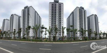 Bán Chung cư Thanh Hà Cienco 5- Hà Đông-HN giá chỉ 10,5 tr/m2