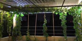 Cần bán nhà mặt ngõ 36 Lê Thanh Nghị, DT 45m2, 4 tầng, MT 4,2m, giá 4,95 tỷ. LH: 0904608163.