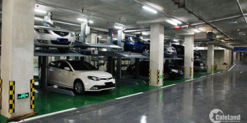 Căn hộ dát vàng Risemount view vĩnh cửu