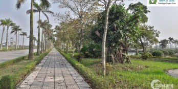 Biệt thự Vườn Cam Vinapol chuyên tư vấn mua bán cho nhà đầu tư