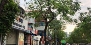 Bán nhà mặt phố Trần Quốc Toản, 90m2, 5 tầng, mặt tiền 5.5m, giá 39 tỷ.