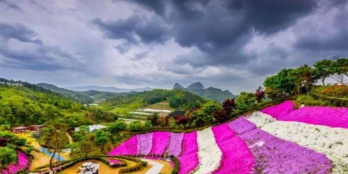 Chính chủ lớn tuổi cần bán lô đất phía nam Hội An giá rẻ chỉ 7tr/m2 để dưỡng già