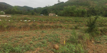 cần chuyền nhượng 2ha đất làm nhà máy nhà xưởng tại huyện kỳ sơn tỉnh hòa  bình