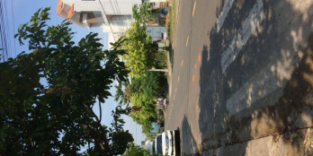 Tin sốc sở hữu nhanh căn hộ cao cấp chỉ từ 270 triệu