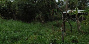 Sở hữu đất phúc lợi 30m chỉ từ 400tr, đường 2m.