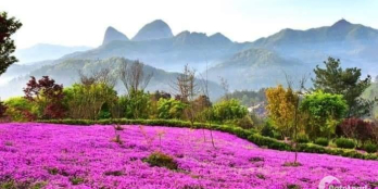 Cần bán nhanh lô đôi mặt tiền đường Hoàng Sa giá rẻ sập sàn. Lh 0905752391