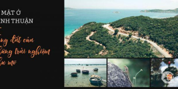 Sunbay Park Hotel & Resort Ninh Thuận điểm nóng của nhà đầu tư