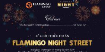 ĐĂNG KÍ THAM GIA SỰ KIỆN MỞ BÁN GIỚI THIỆU DỰ ÁN FLAMINGO NIGHT STREET!