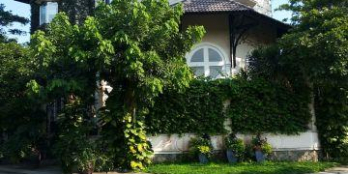 Bán gấp nhà HXH Đinh Tiên Hoàng, P Đa Kao, Q1, 5x16m, giá rẻ 14 tỷ