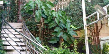 Chính chủ bán Mặt tiền Biệt thự cổ 189 Võ Thị Sáu Quận 3 Giá TL.