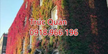 Bán nhà khu nội bộ HXH đường Trương Định, Quận 3 ( 5m x 12m) 6 tầng. Giá 19 tỷ TL 0918 966 196