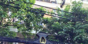 Bán biệt thự 2 lầu hẻm xe hơi 1041 đường Trần Xuân Soạn Phường Tân Hưng Quận 7