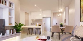 Cơ Hội Đầu Tư Bạc Tỷ Ngay Trung Tâm Bình Tân