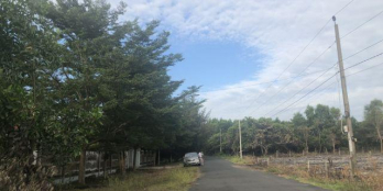 Bán nhà hẻm Đường số 21, p8, Gò Vấp,  Giá 2.42 tỷ TL