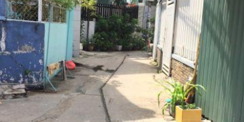 Bán nhà HXH  Nguyễn Thái Sơn, P4, Gò Vấp, 3,5x12m, giá 3,45 tỷ TL
