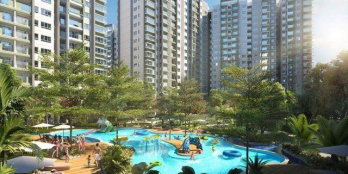 Sang nhượng căn hộ khu Emerald thuộc dự án Celadon City