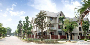 Bán biệt thự đơn lập và song lập Sunny Garden City - CEO Quốc Oai