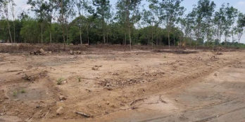 6 triệu/ m2 có ngay 100 m2 đất thổ cư 100% ngay chợ Hắc Dịch