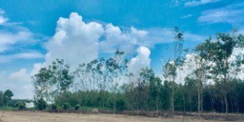 6 triệu/ m2 có ngay 100m2 đất thổ cư gần UBND phường Hắc Dịch