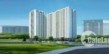 Bán gấp căn hộ chung cư Ecolife Tây Hồ, P. Xuân La, Q. Tây Hồ, TP Hà Nội, DT 103,8m2 giá 37 tr/m2 lh 0966258655