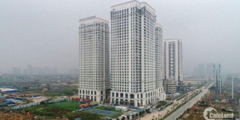 Sunshine Riverside, diện tích 67- 100m2, giá từ 2.5 tỷ. LH 0985331897